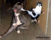 /album/fotogaleria/a591919curiosidades-01-jpg/